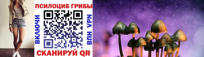 Псилоцибиновые грибы прущие грибы  Купить где  Людиново 